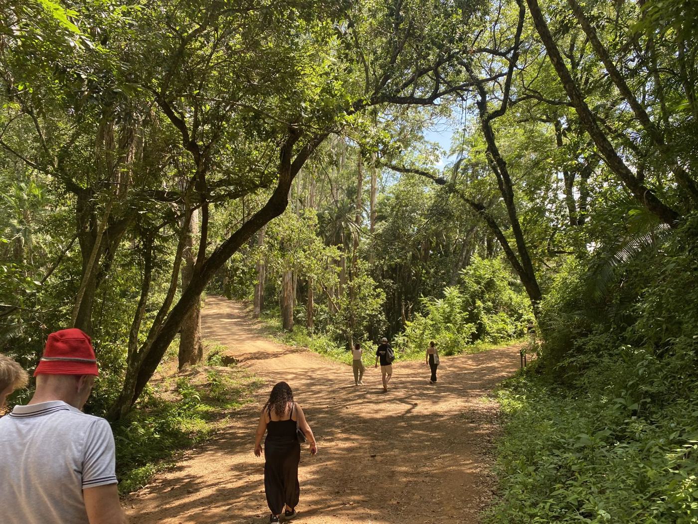 De groep loopt over een zandpad tussen de bomen in Malawi