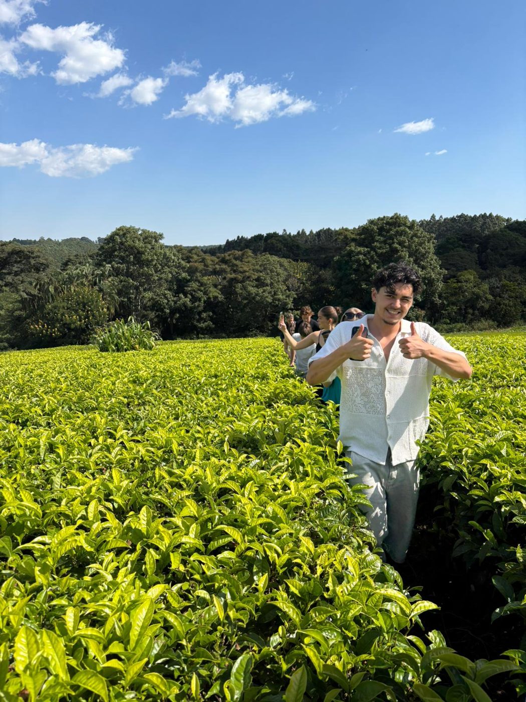 Studenten van de groep van 2025 lopen lachend door een theeplantage in Malawi